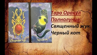 💥 ТАРО ОРАКУЛ ПОЛНОЛУНИЯ: СВЯЩЕННЫЙ ЖУК🐞 И ЧЕРНЫЙ КОТ🐱‍👤 ЗНАЧЕНИЕ И СОЧЕТАНИЯ❗