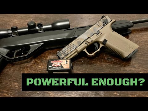 Are Air Guns Effective For Home Defense???
