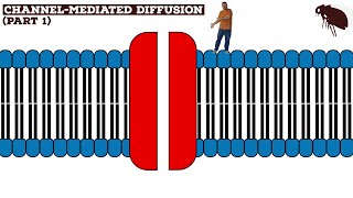 Channel-Mediated Diffusion (Part 1)