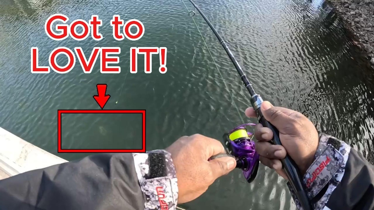 Fishing Is Therapy: Episode 1 | The Bass Frenzy That Changed Our Day