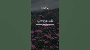 تلاوة خاشعه للقرآن الكريم بصوت الشيخ ياسر الدوسري#ياسر_الدوسري_إماما_للحرم #قران_كريم #ترند #اكسبلور