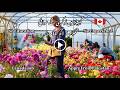 Farm Labourer Job in Canada No Experience No Education Pakistan Se Apply Karein Canada Work Permit