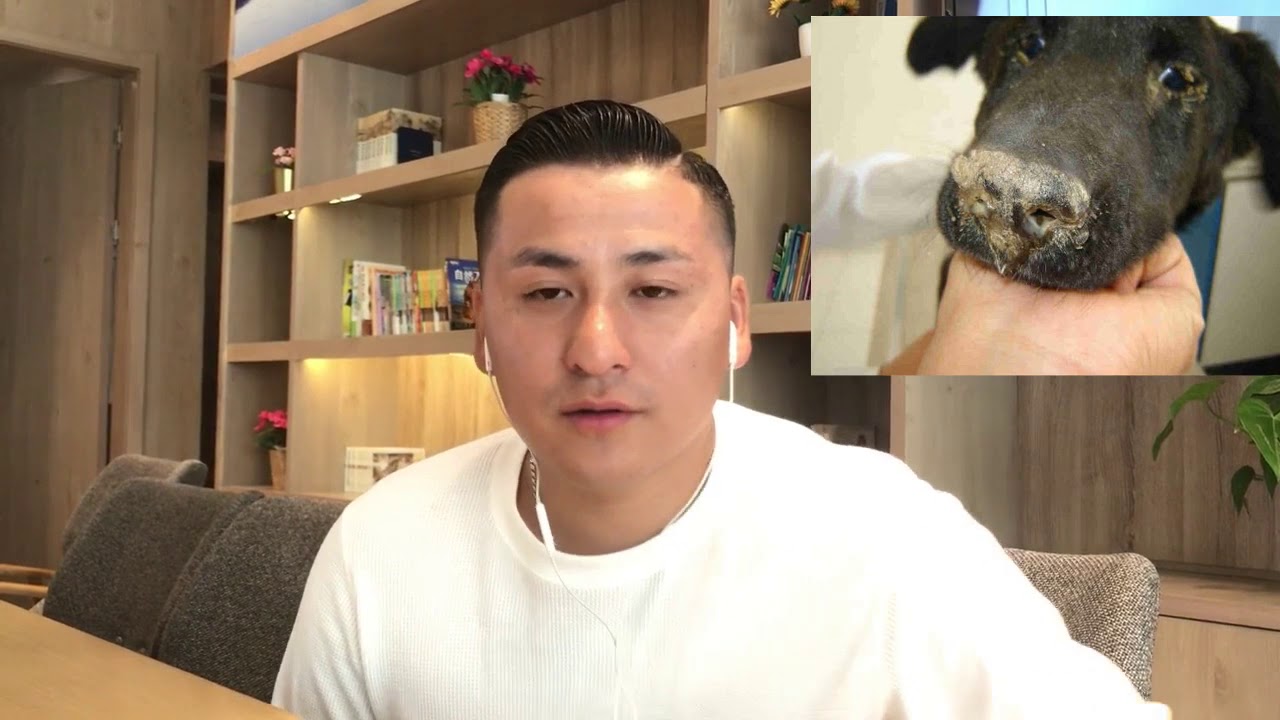 Гударга өвчин