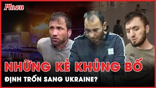 Giới chức Nga: Sau cuộc tấn công, những kẻ khủng bố ở Moscow định trốn sang Ukraine | PLO