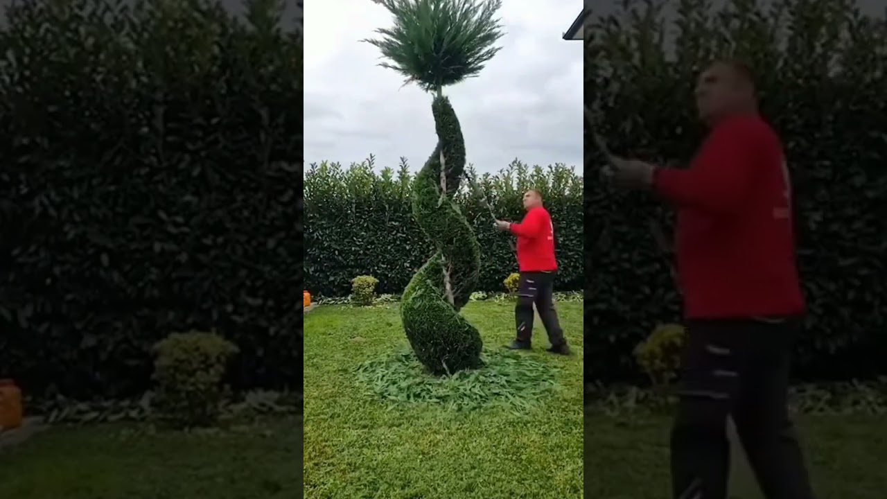 #grasscuttingmachine