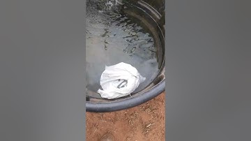 Mineral water "How to" by Steve Campbell