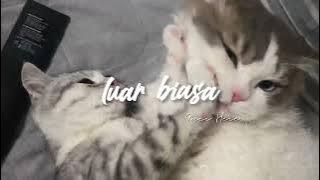 luar biasa - ismail izzani || speed up