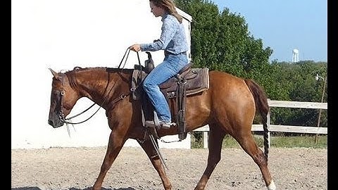 HB Chulas Bar Smart    ***For info, price, etc., go to our website*** Valley View Ranch