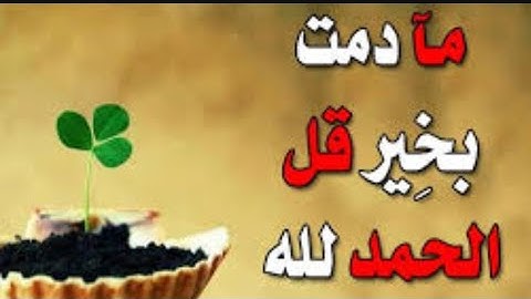 سورة التكاثر مكررة ٧ بصوت فضيلة الشيخ :ياسر الدوسري