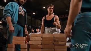 Chuck Norris Kicks Everyone Vol. 3