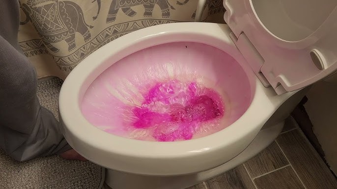 What's that Pink Stuff in my Toilet Bowl? - TheGoodWaterGuy