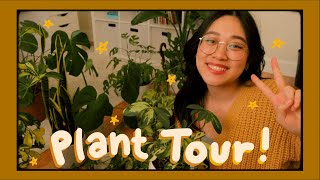 Wholesome Plant Tour 🪴 | houseplant collection, repotting my monstera deliciosa!