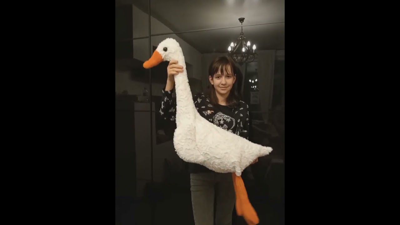 video 2024 01 09 23 47 46 online video cutter com