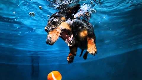 Parallax Animation Effect