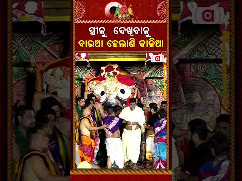 ସ୍ତ୍ରୀକୁ ଦେଖିବାକୁ ବାଇଆ ହେଲାଣି କାଳିଆ | Niladri Bije 2026| Jay Jagannath | Maa Laxmi | Argus News