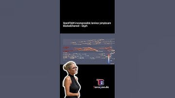OpenFOAM CFD Tutorial case: #blockedChannel  - #streamtracer #pressure #incompressible #laminarflow