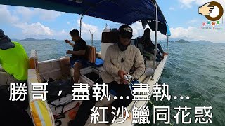 #315 勝哥，盡量執紅沙鱲同花惑 | 青衣金勝 | 香港釣魚 | 艇釣 | 青衣 {粵語旁白}