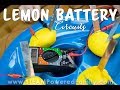 Lemon battery science experiment for kids