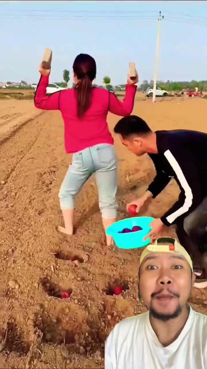 BERCOCOK TANAM!!!? #farming #farmlife #agriculture #youtube #shorts