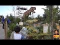 Dinosaurs Alive @ Tayto Park - Kids will have soo much fun!