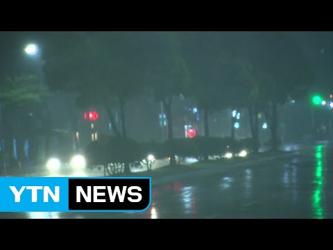 제주 호우특보 ...서귀포에 95mm 비 내려 / YTN