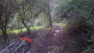 Turbo Levo 2019 - Emtb - Zevik