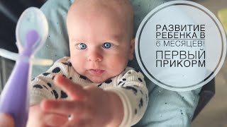 ГРАНТУ 6 МЕСЯЦЕВ!!! | РАЗВИТИЕ РЕБЕНКА И ПЕРВЫЙ ПРИКОРМ!