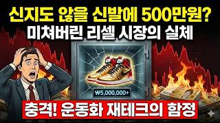 스니커즈·한정판 리셀 후기 영상 - "한정판 운동화 재테크" 신지도 않을 신발에 수백만 원을 더 얹어 주는 리셀 시장의 광기