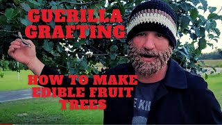 How to Graft | Turn Bradford Pear Trees into Fruit Trees | Guerilla Grafting