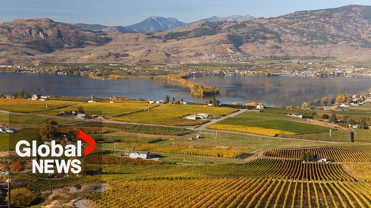 Local Escapes: Discovering the fall beauty of Osoyoos, BC