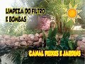 Manutenção Lago - Filtro e Bomba