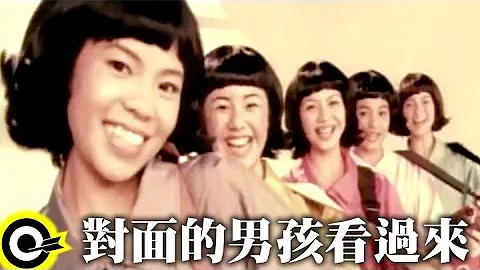 【对面的男孩看过来 Look over here, boy】Official Music Video - 天天要闻