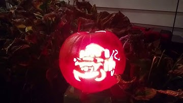 Raspberry Pi with solid staterelays + LightshowPi