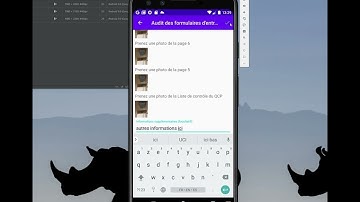 Field Audit Tool (FAT) - Vidéo 4 - Audit de Formulaires d