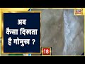 आज का गोमुख, अब कैसा दिखता है गोमुख ? देखिये | Aadhi Haqeeqat Aadha Fasana