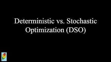Deterministic vs. Stochastic Optimization (DSO)