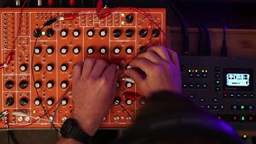 Pulsar-23 Patch Walk n