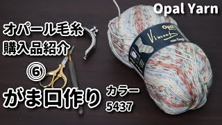 【オパール毛糸購入品⑥】がま口を作りながら色の出方を見てワクワクしているだけの動画です☆Crochet Frame Purse with Opal Yarn☆カラー：5437