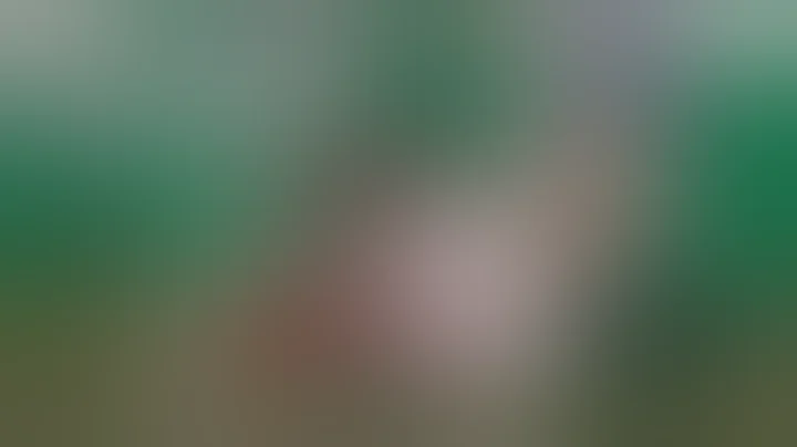 Cam Skattebo SCARY Ankle Injury vs Eagles (Full Video)