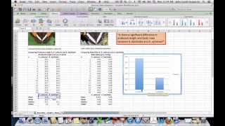 Making a Graph in Excel
