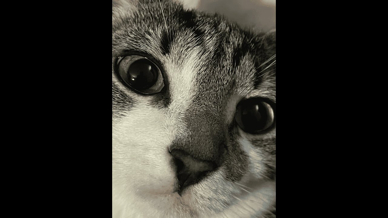 Citadel of Infinite Void Grinding (JUMP FROM ToCP) | PB: Final Stretch