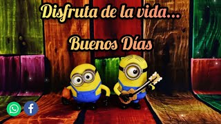 Divertido Mensaje de Buenos días 😁 GIF, de Buenos Días!! 🍀MENSAJES DE BUENOS DÍAS ☀️🌻 FRASES BONITAS