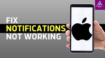 Fix iPhone Notifications Not Working After iOS 17.2 Update