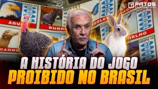 O que é o Jogo do Bicho? screenshot 4