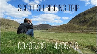 Scottish Birding 09-14/05/19