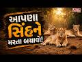 એશિયાટીક સિંહો પર ફરી એકવાર મોટું સંકટ આવ્યું