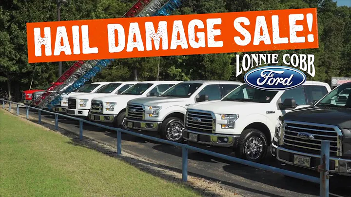 Lonnie Cobb Ford Hail Sale 15 090716