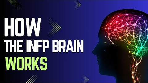 How the INFP Brain Works