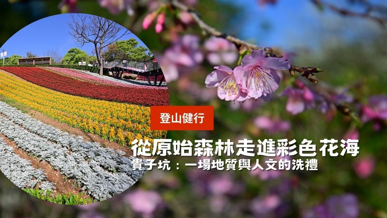 2026過年走春🌸 不止三層崎花海！走進忠義山林，找回城市的靜謐呼吸｜走春景點