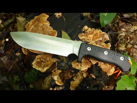 LionSteelM7ナイフのフィールドテストとレビュー